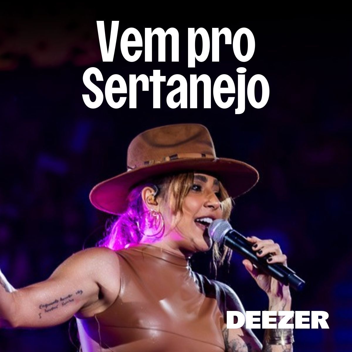 Cover of playlist Vem pro Sertanejo