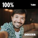 100% Yalın