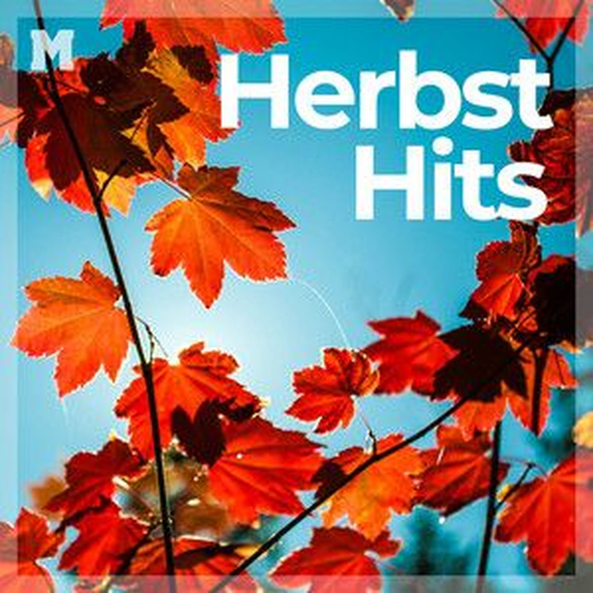 Cover of playlist Herbst Hits 2025 🍂 Herbsthits 🧡 Herbstgefühle