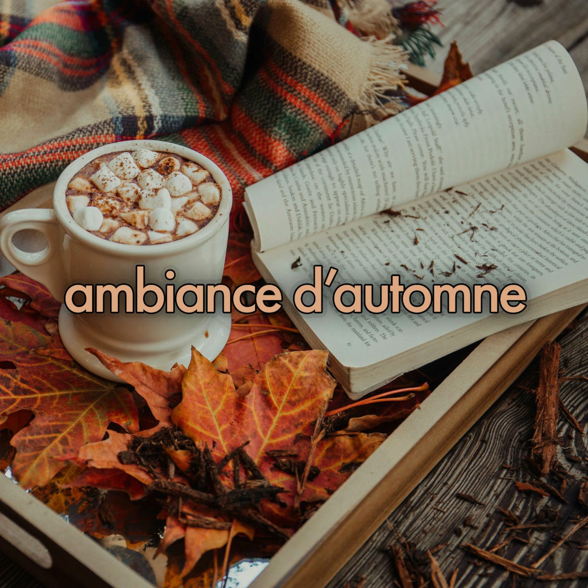 Cover of playlist automne cocooning, ambiance d'automne