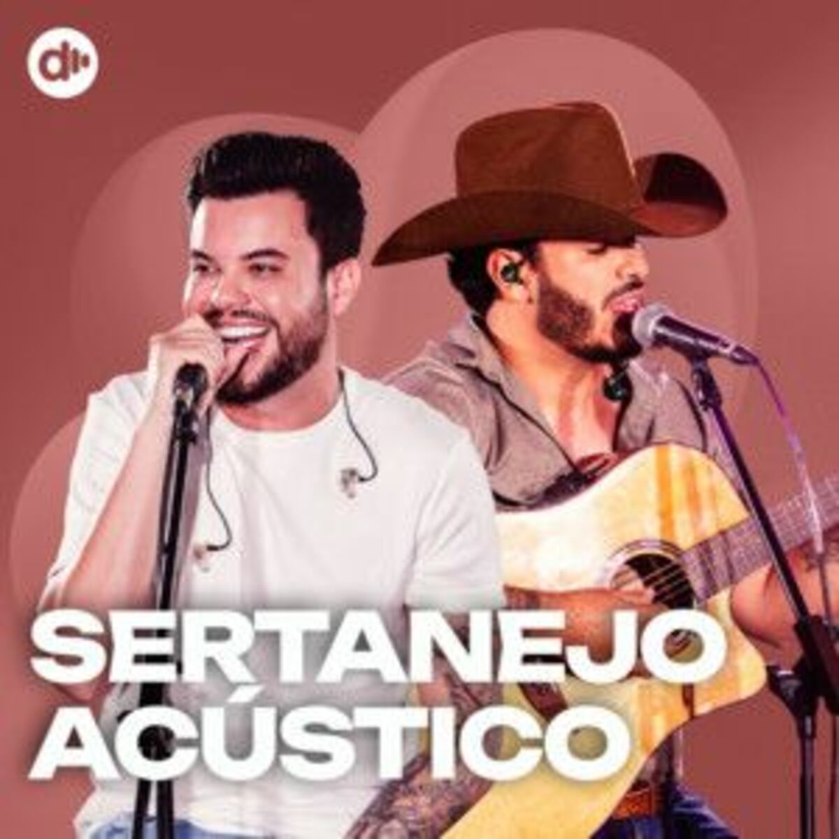 Cover of playlist Sertanejo Acústico