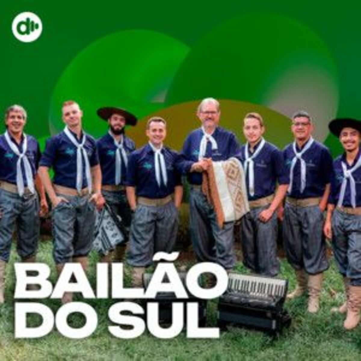 Cover of playlist Bailão do Sul