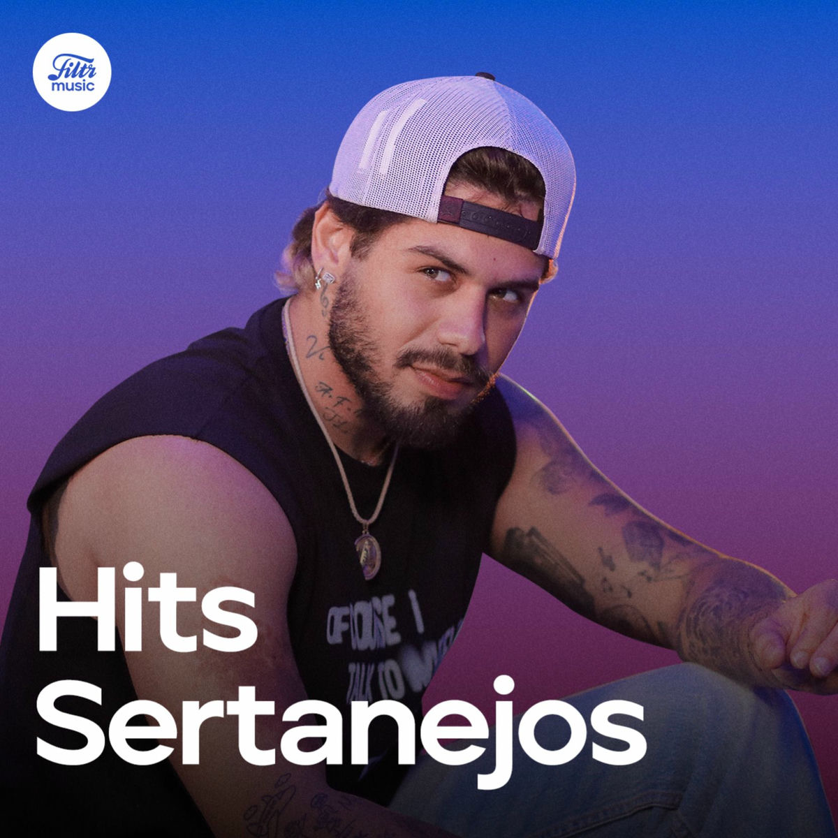 Cover of playlist Hits Sertanejos 2025 | Sertanejo Mais Tocadas 2025