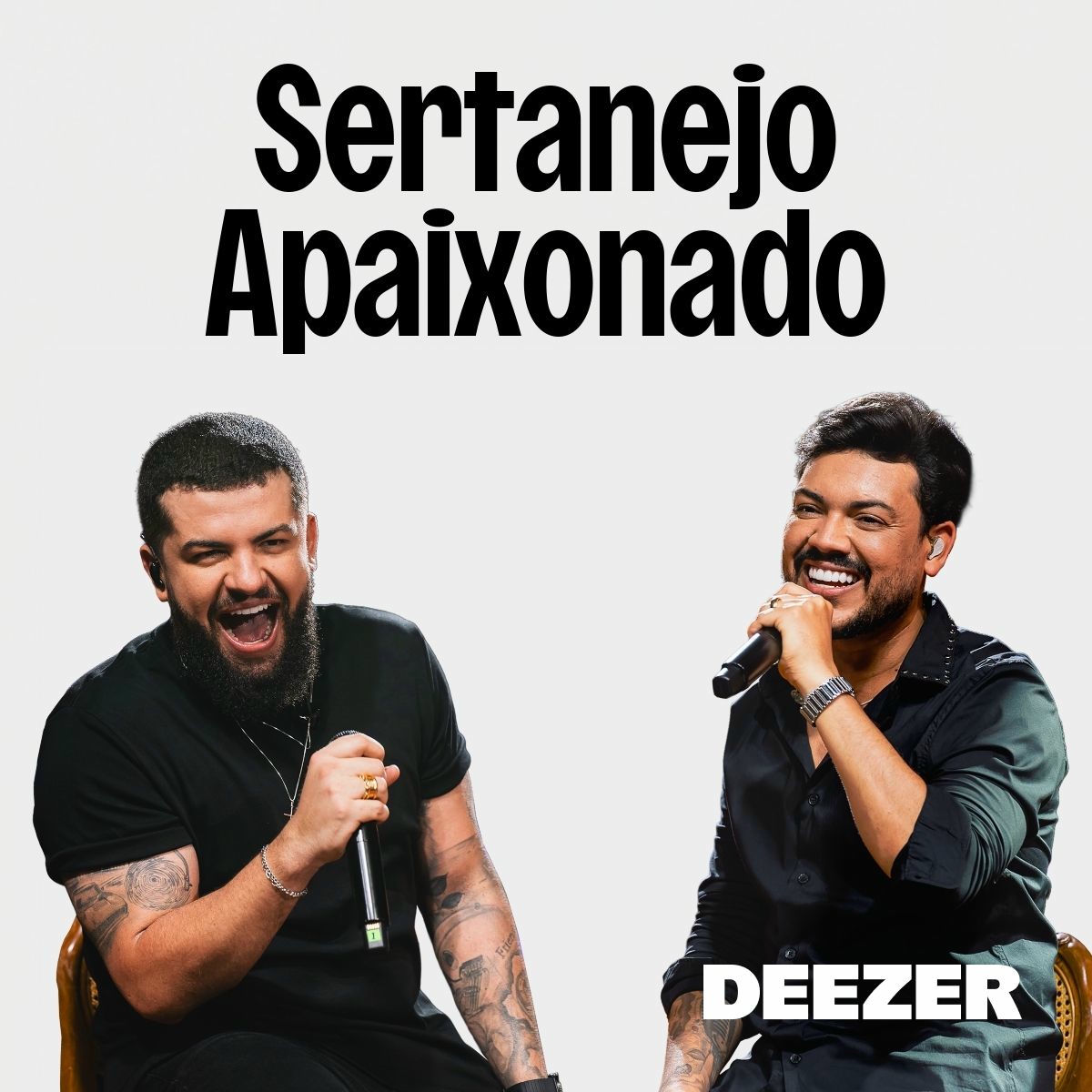 Cover of playlist Sertanejo Apaixonado