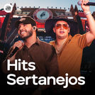 Hits Sertanejos 2026 | Sertanejo Mais Tocadas 2026