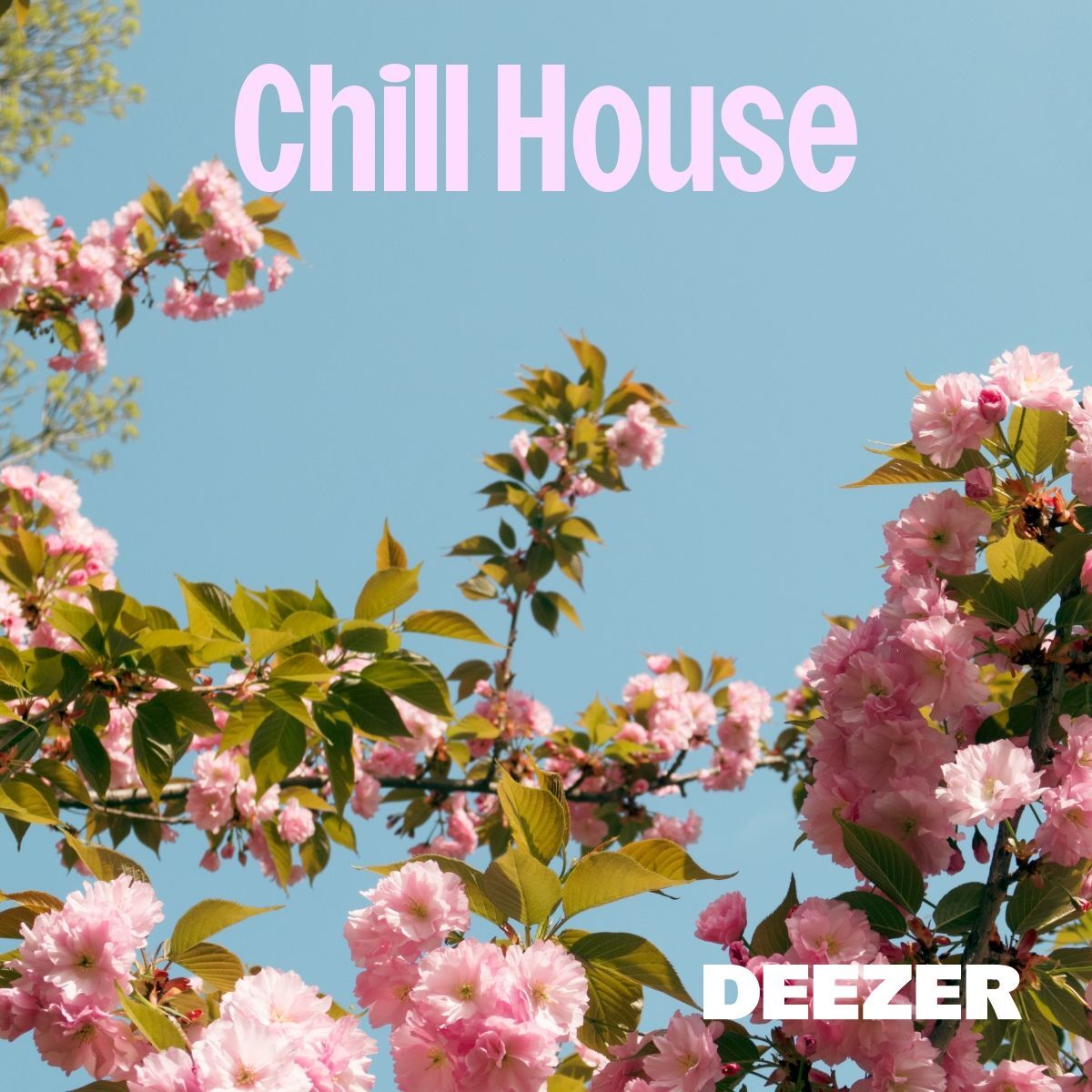 Chill House