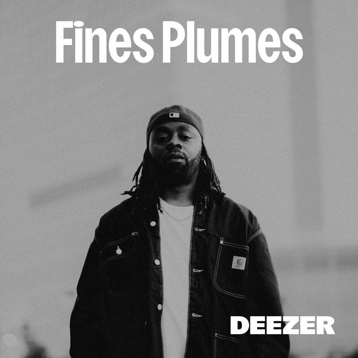 Cover of playlist Fines Plumes