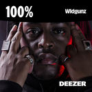 100% Widgunz