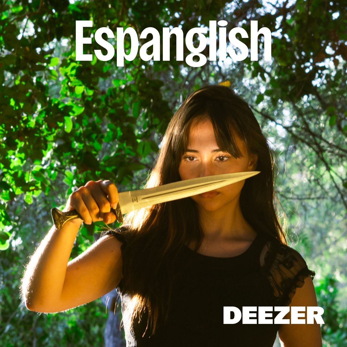 Cover of playlist Espanglish