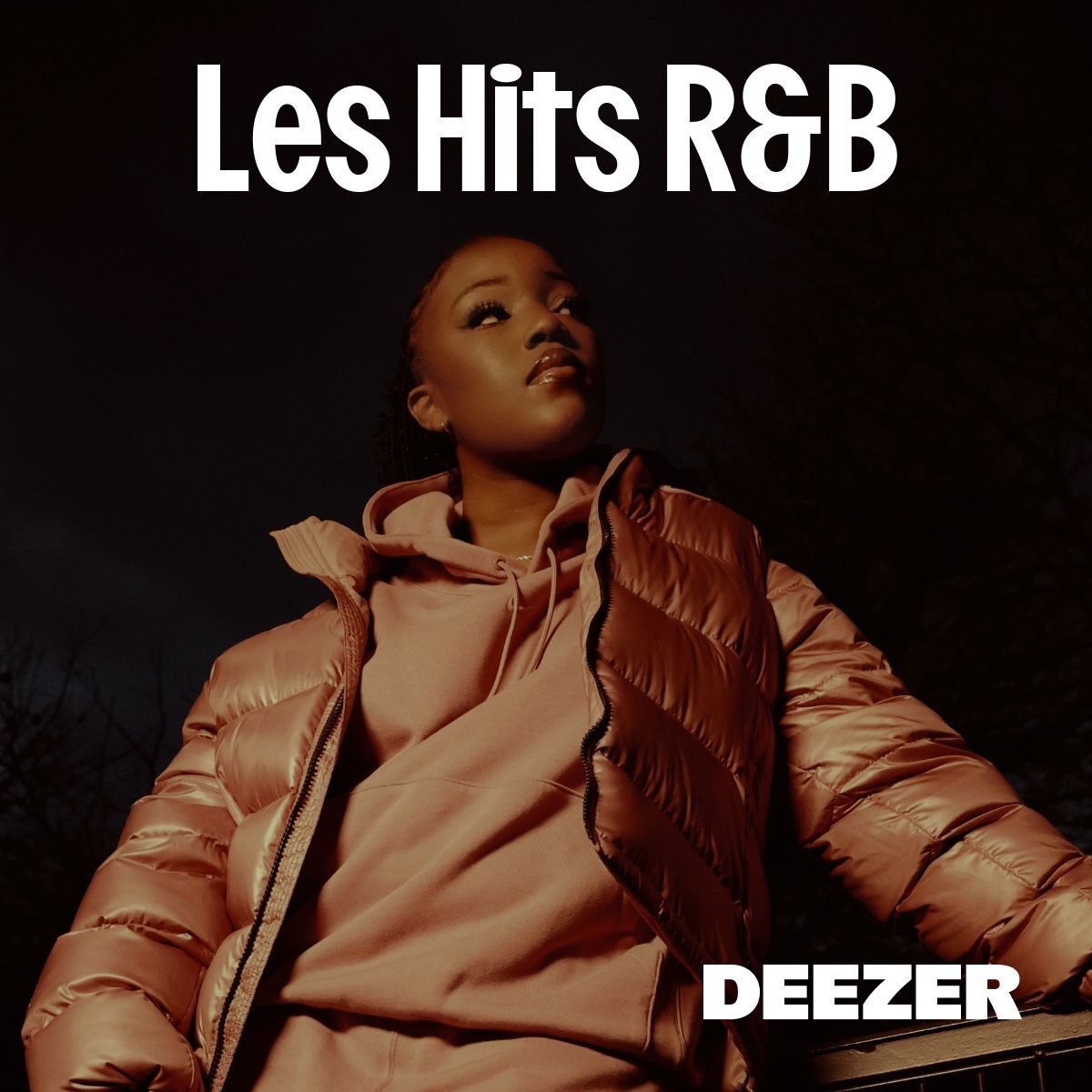 Cover of playlist Les Hits R&B