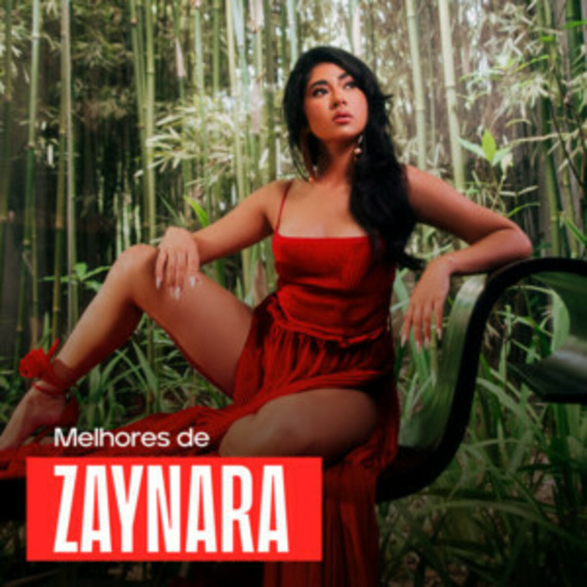 Cover of playlist Quem Manda em Mim - Zaynara  e Pabllo Vitar