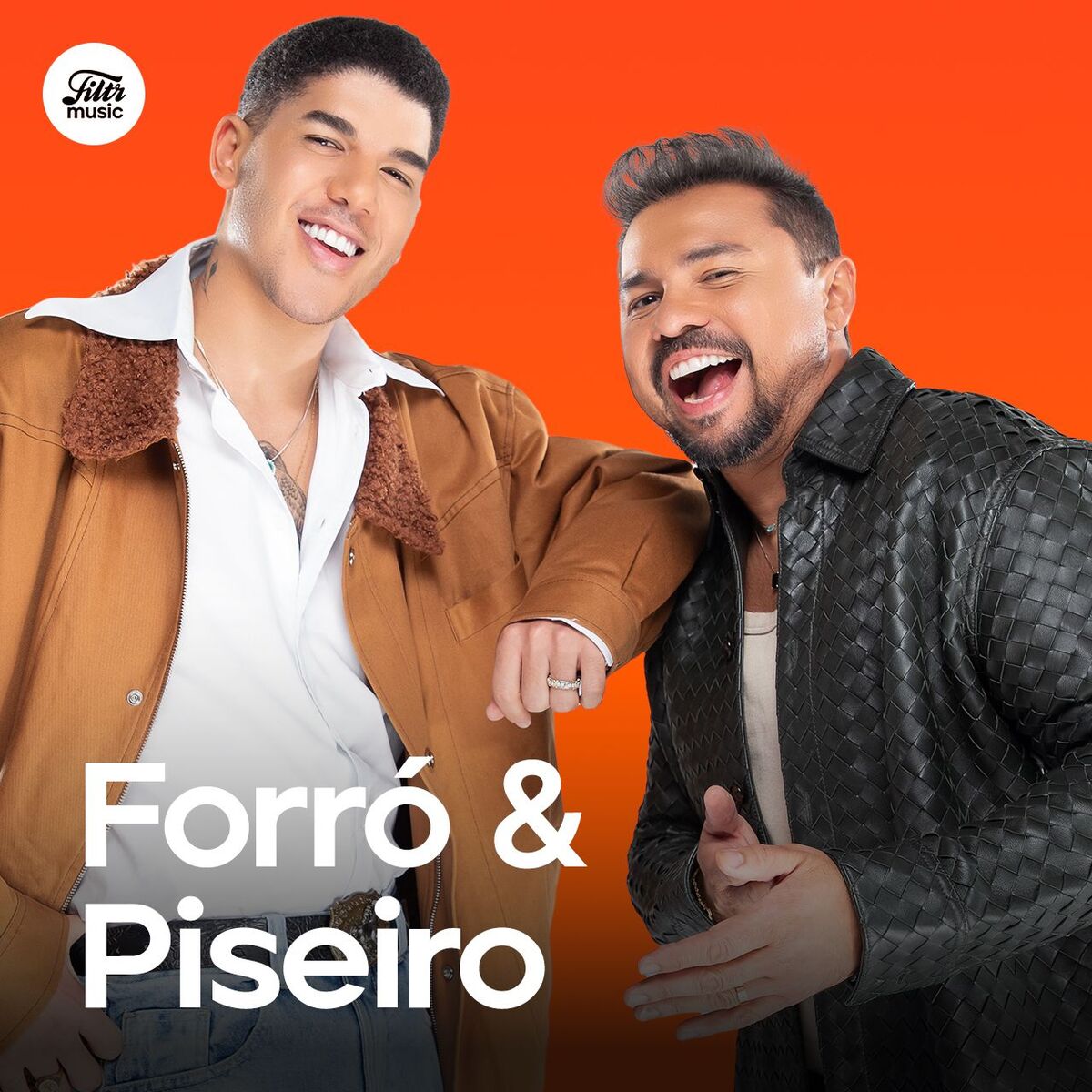 Cover of playlist Forró e Piseiro 2025 ⭐ Forró Atualizado 2025