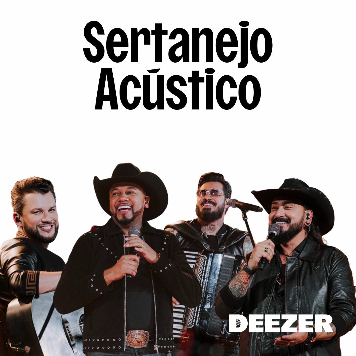 Cover of playlist Sertanejo Acústico