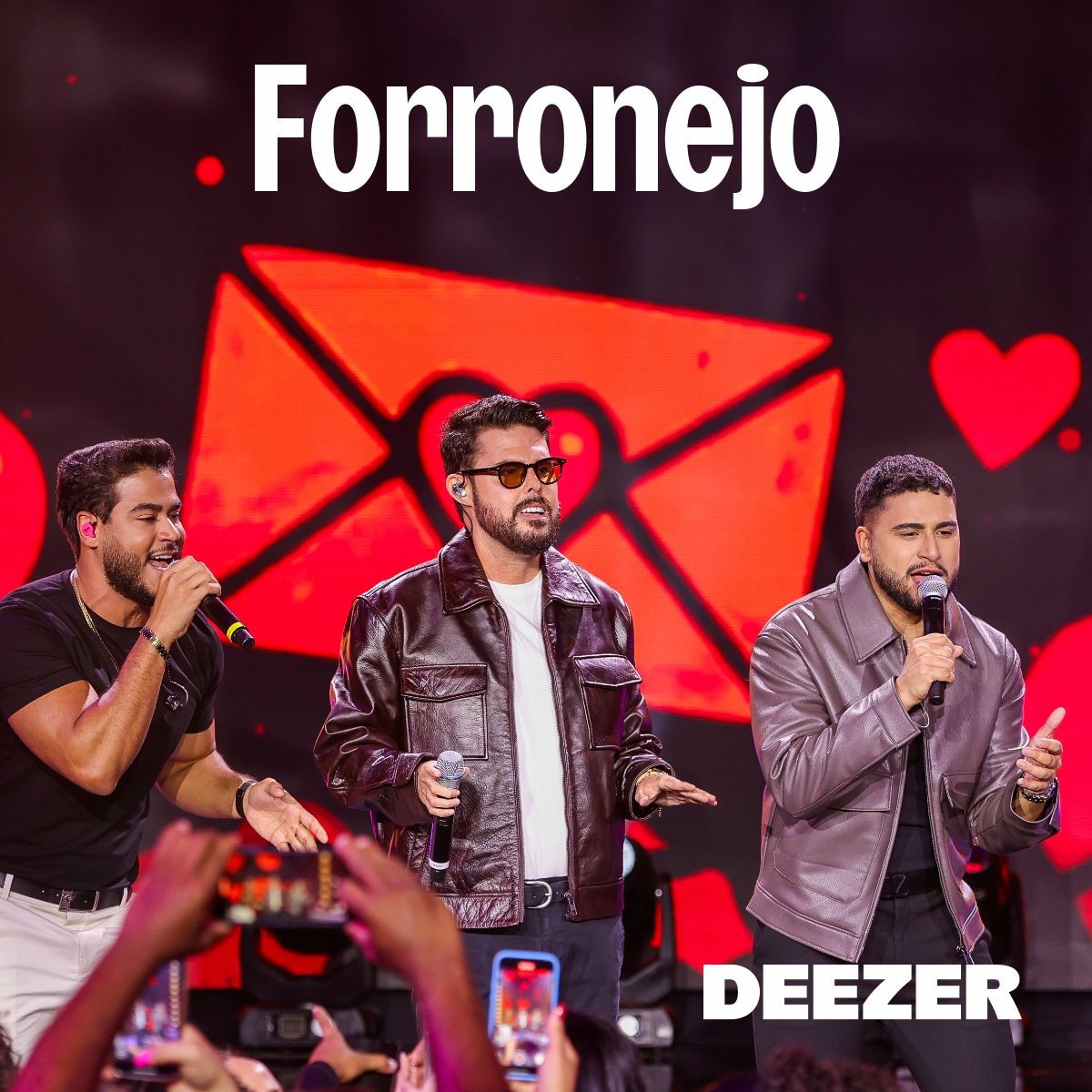 Cover of playlist Forronejo