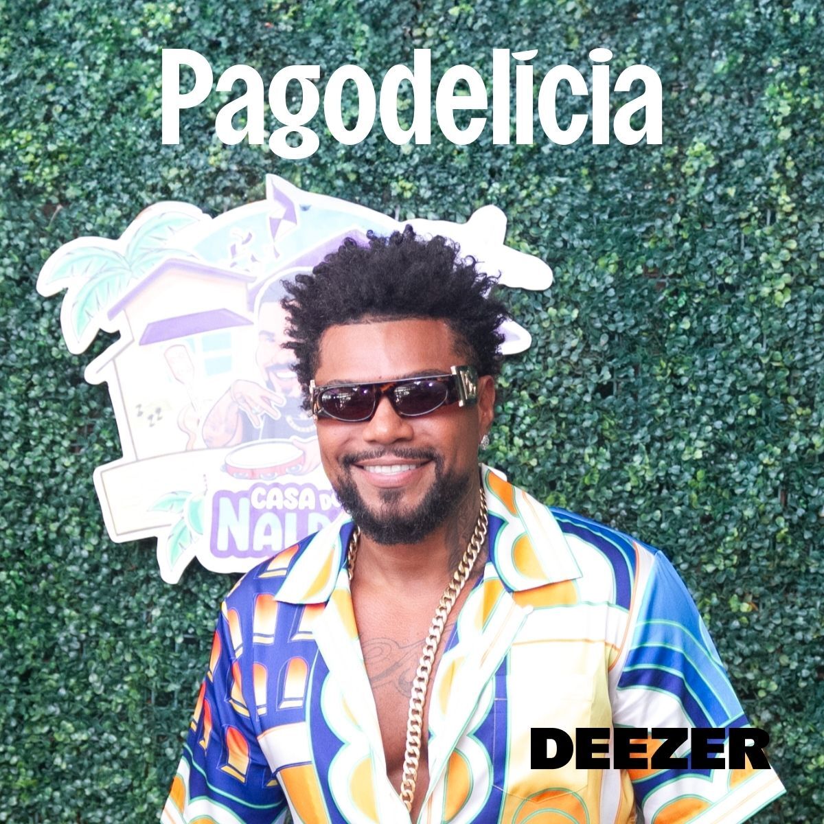 Cover of playlist Pagodelícia