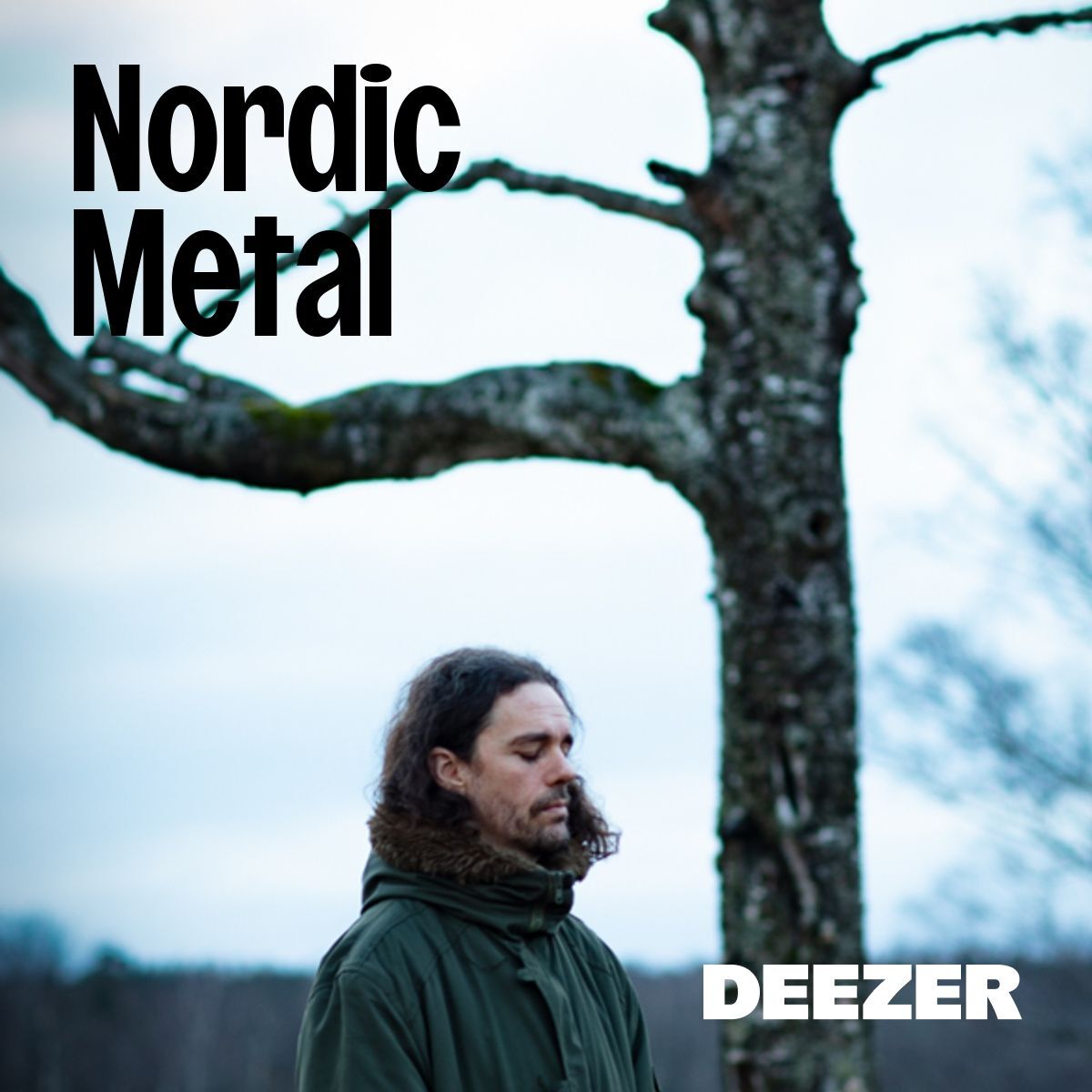 Nordic Metal