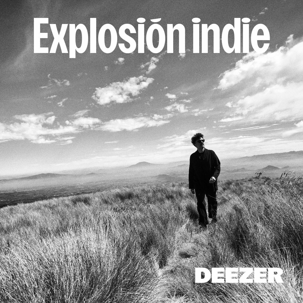 Cover of playlist Explosión indie