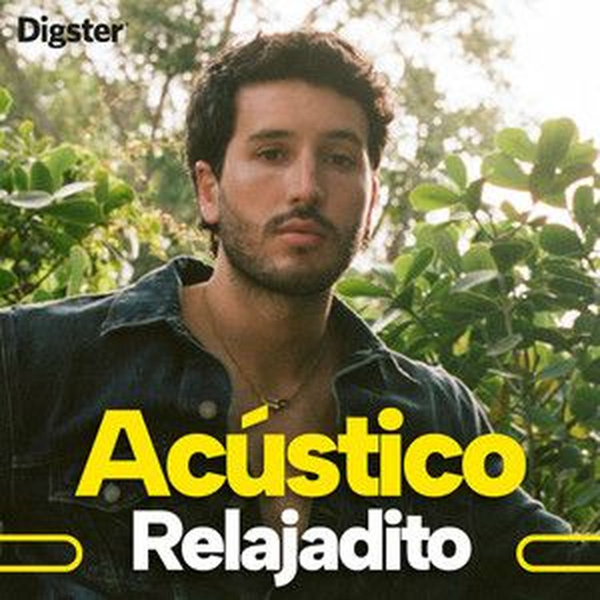 Cover of playlist Acústico Relajadito