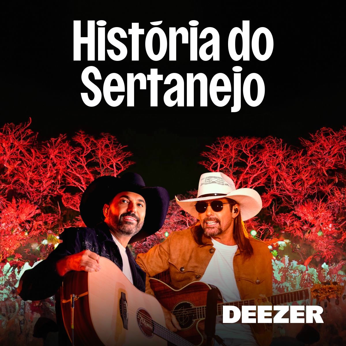 Cover of playlist História do Sertanejo