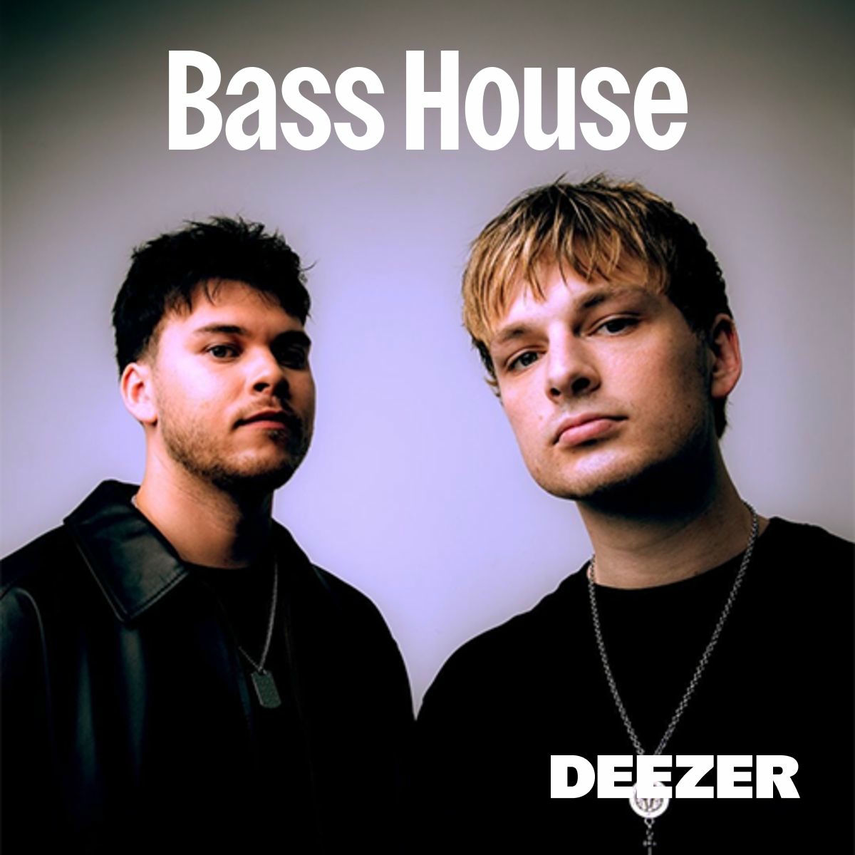 Cover of playlist Bass House