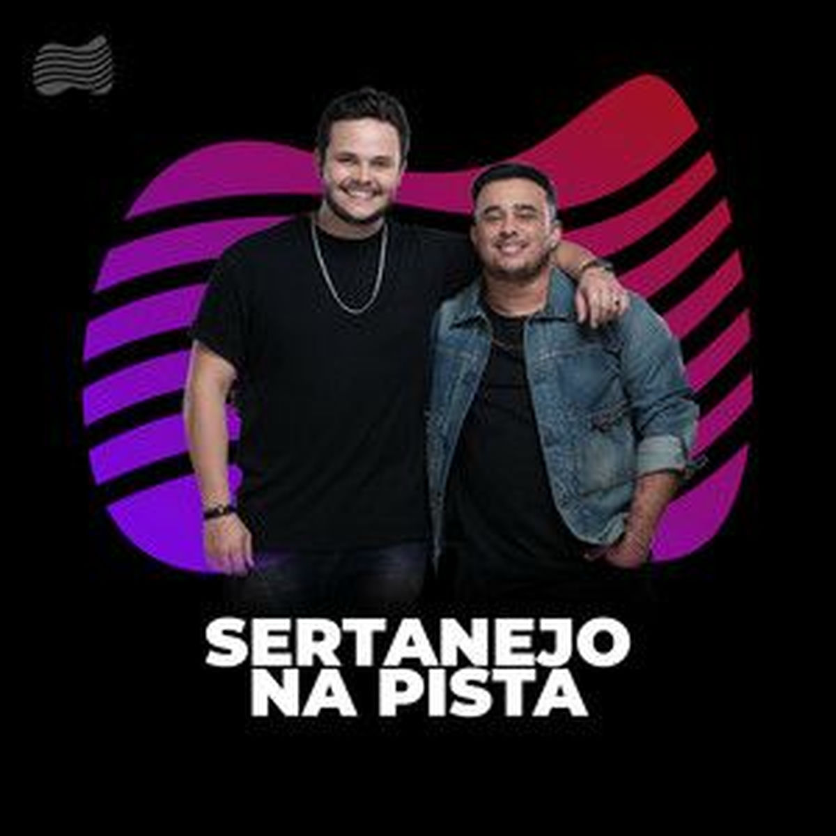 Cover of playlist Sertanejo na Pista
