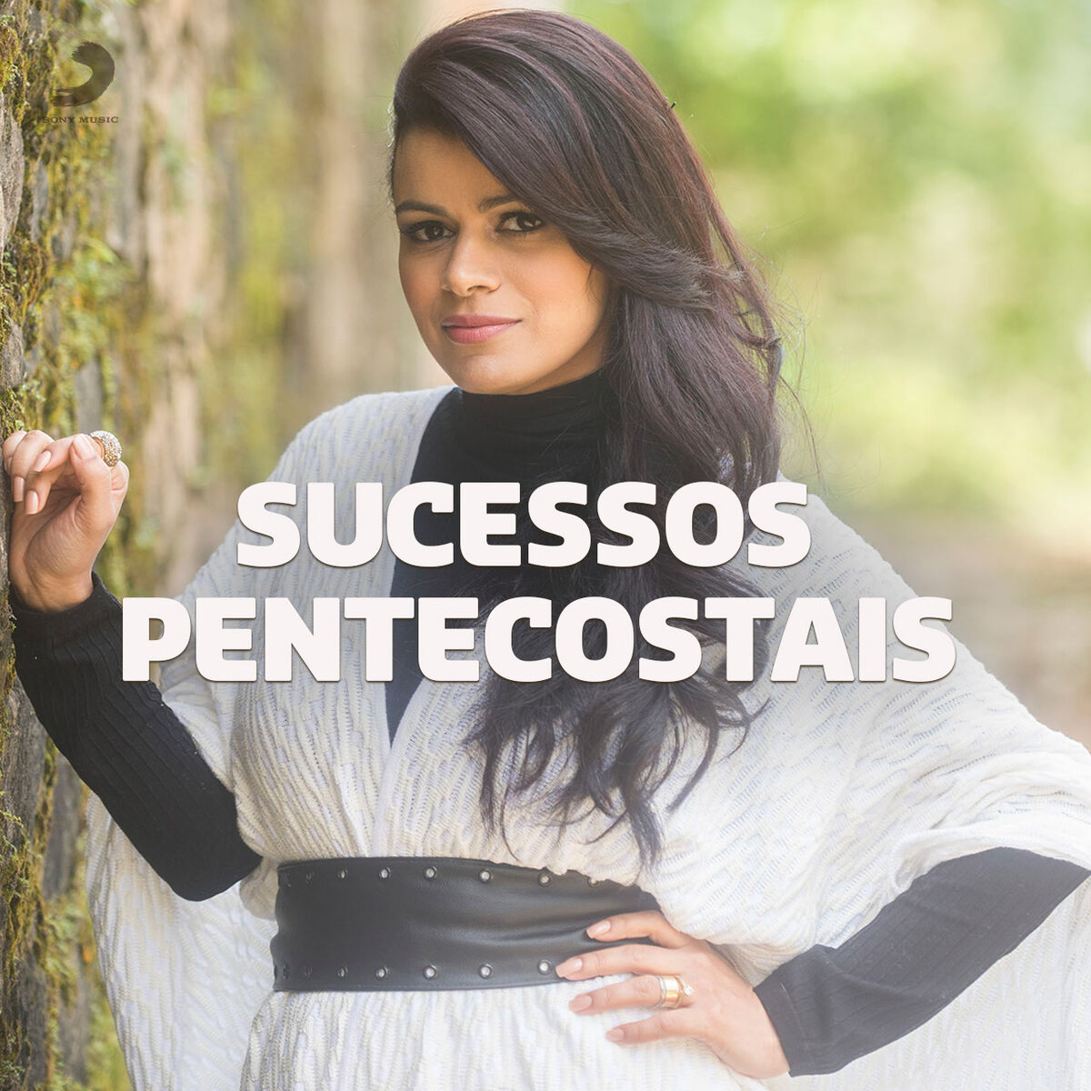 Cover of playlist Sucessos Pentecostais
