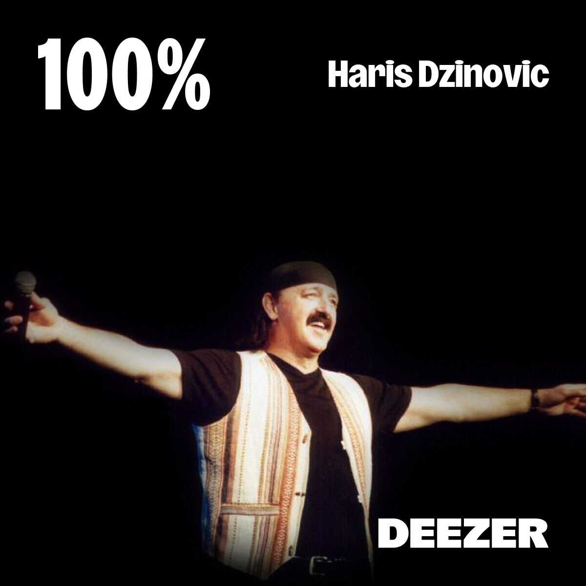 Cover of playlist 100% Haris Dzinovic