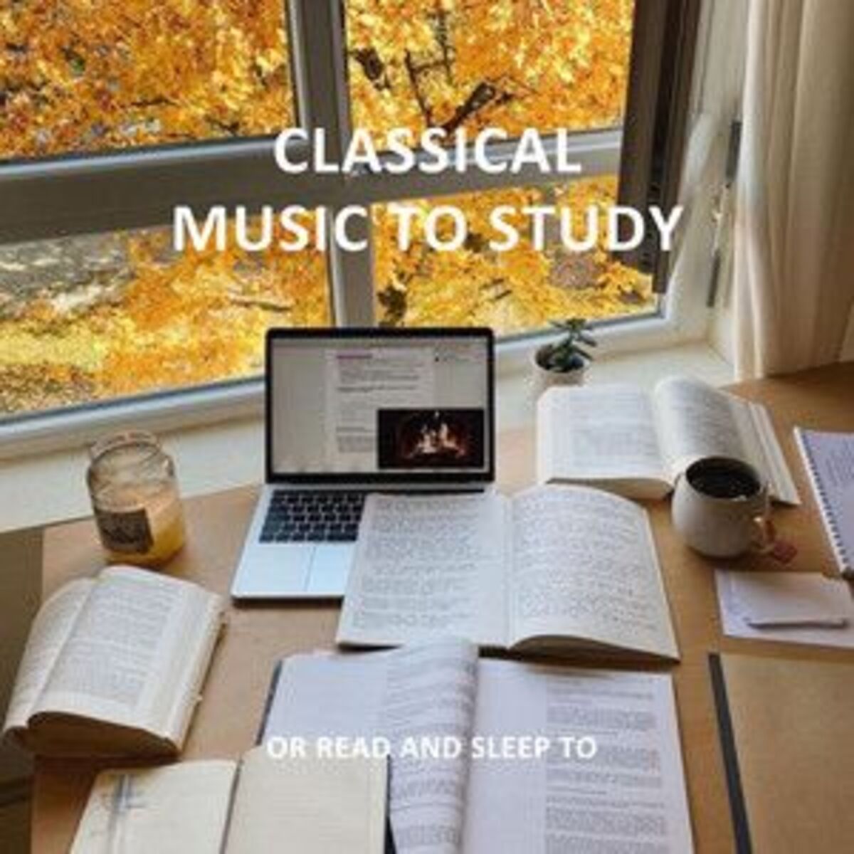 Cover of playlist Classical Music to Study or Read and Sleep to