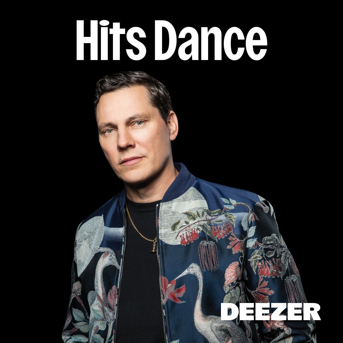 Cover of playlist Hits Dance