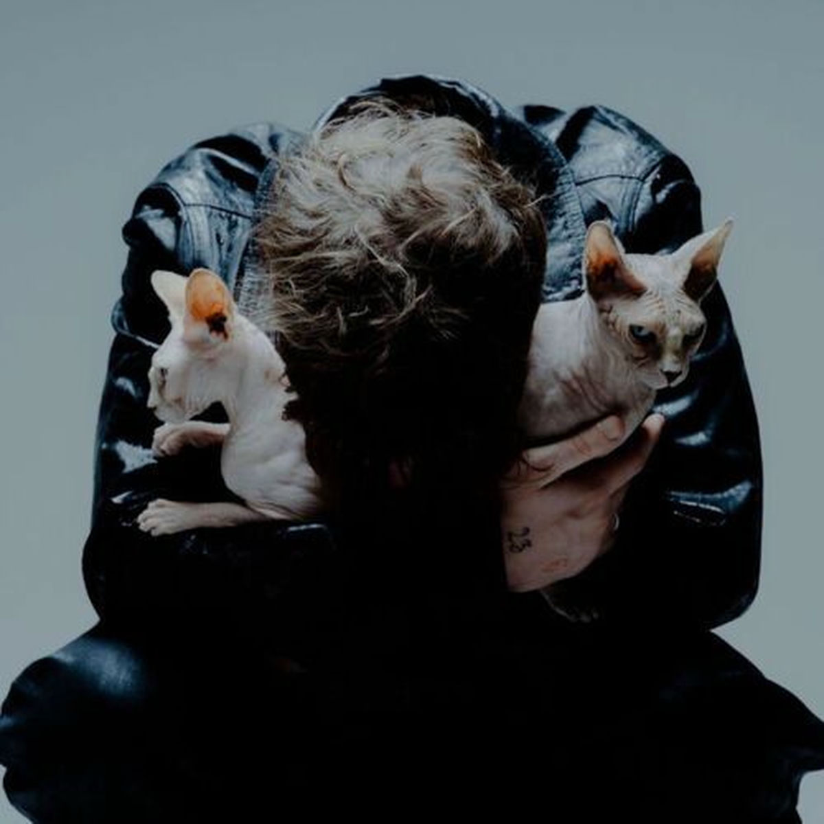 Cover of playlist J9ueve - SIBÉRIE