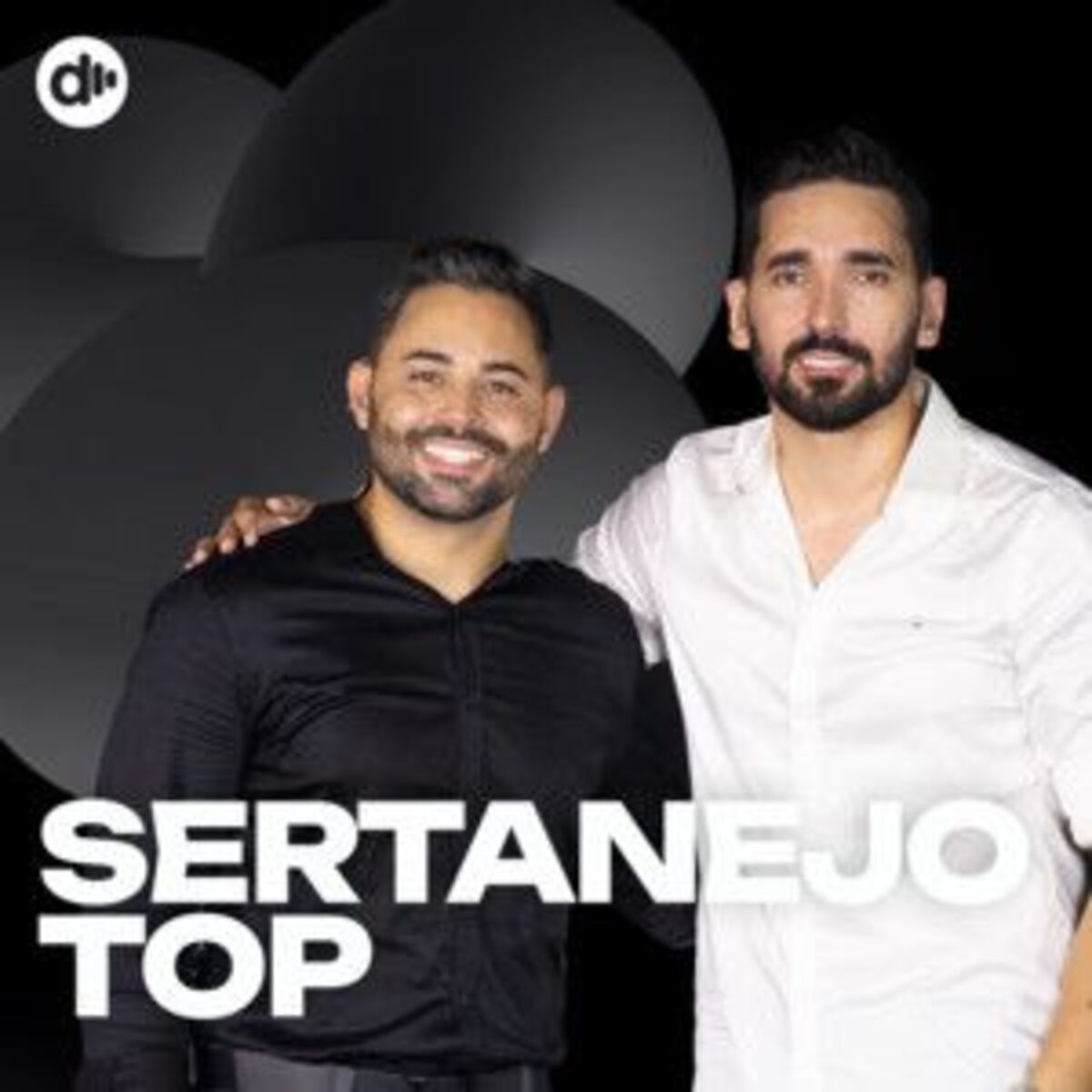 Cover of playlist Sertanejo Top | Sertanejo 2025 | As melhores do Se