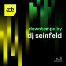 Downtempo by Dj Seinfeld