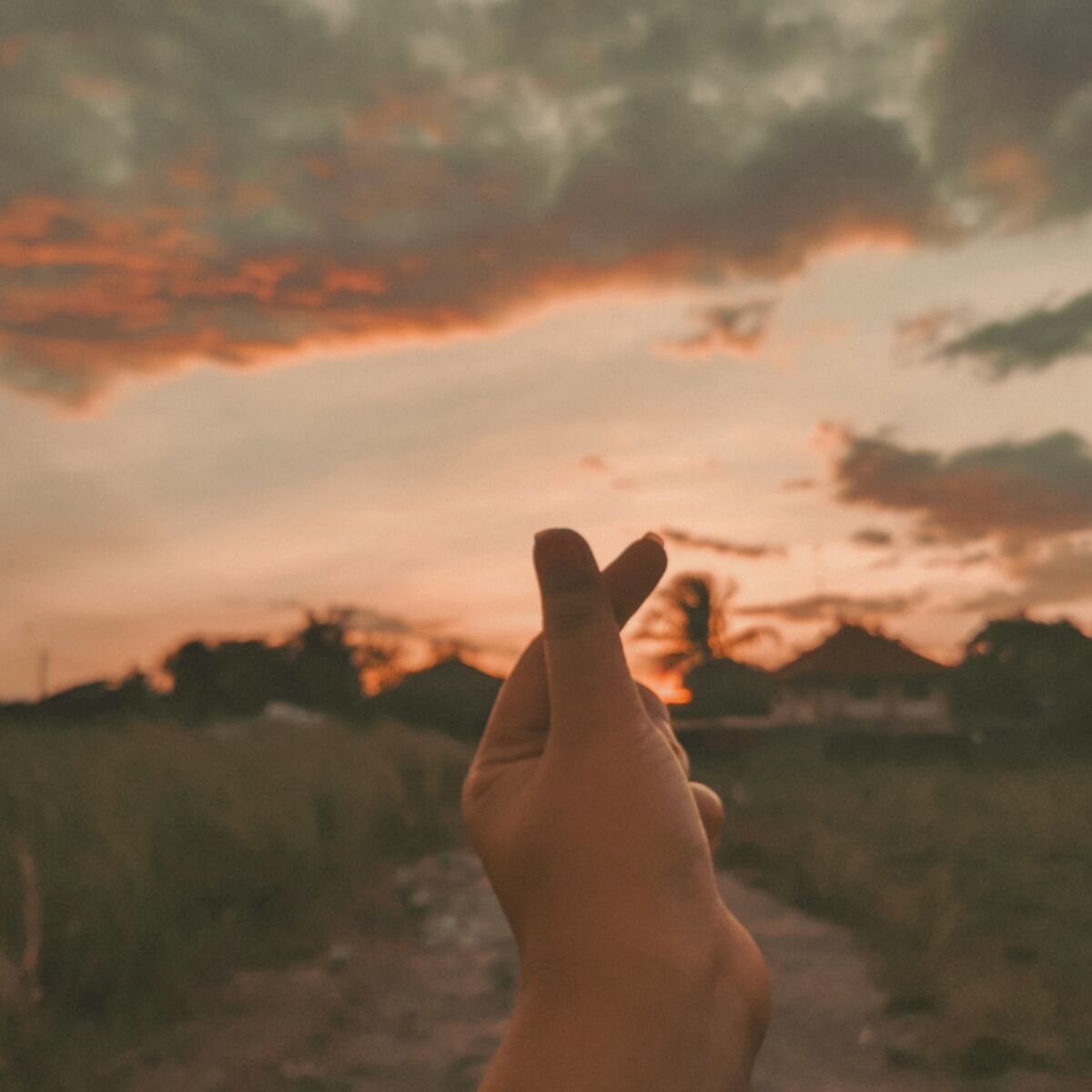 Cover of playlist Mood été à la campagne 🌞