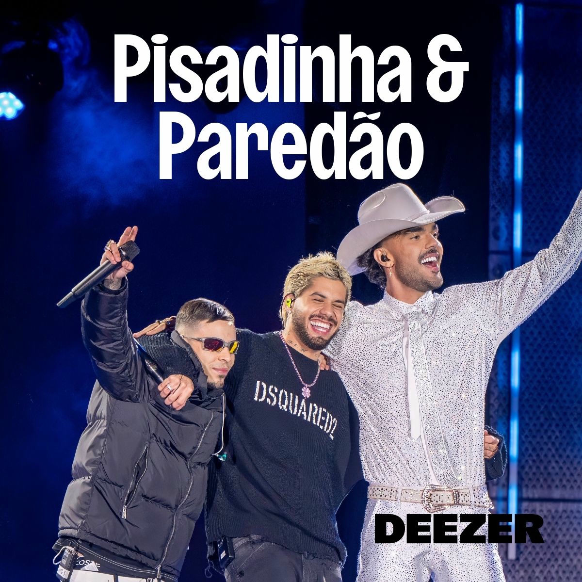Cover of playlist Pisadinha & Paredão