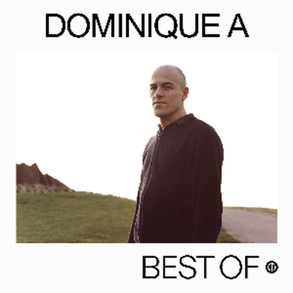 Cover of playlist Best of Dominique A