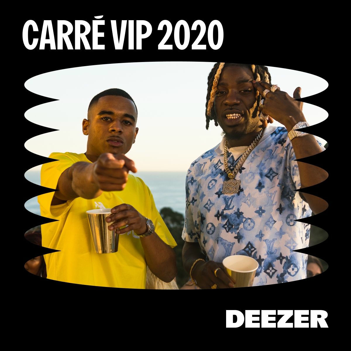 Cover of playlist Carré VIP 2020