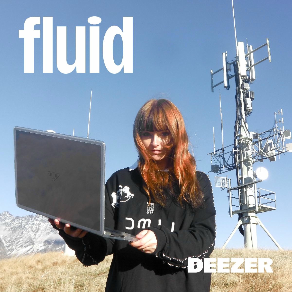 Cover of playlist fluid ✨