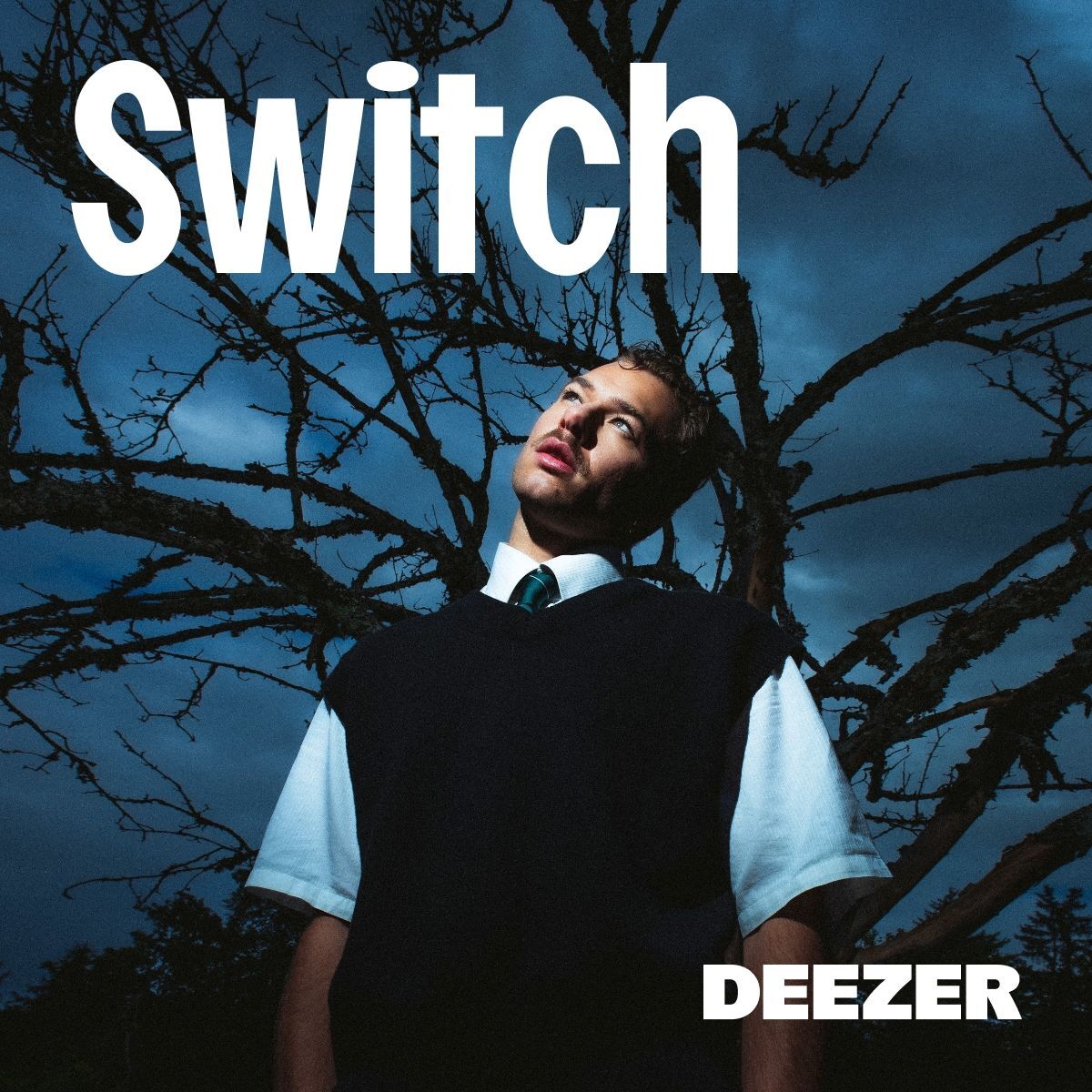 Cover of playlist Switch