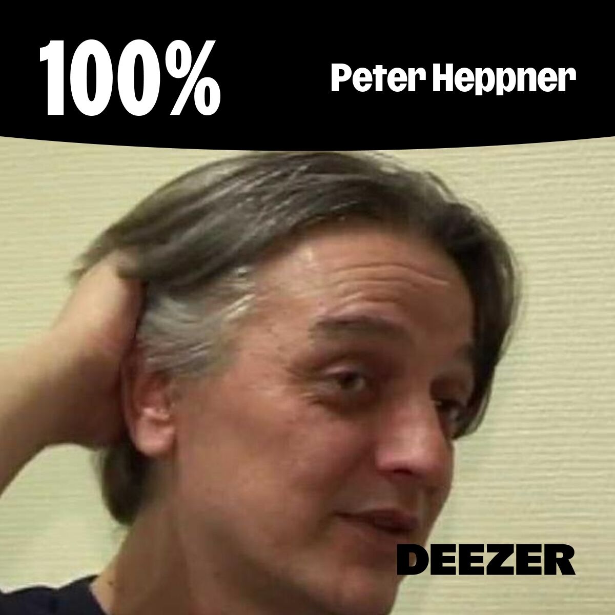 Cover of playlist 100% Peter Heppner