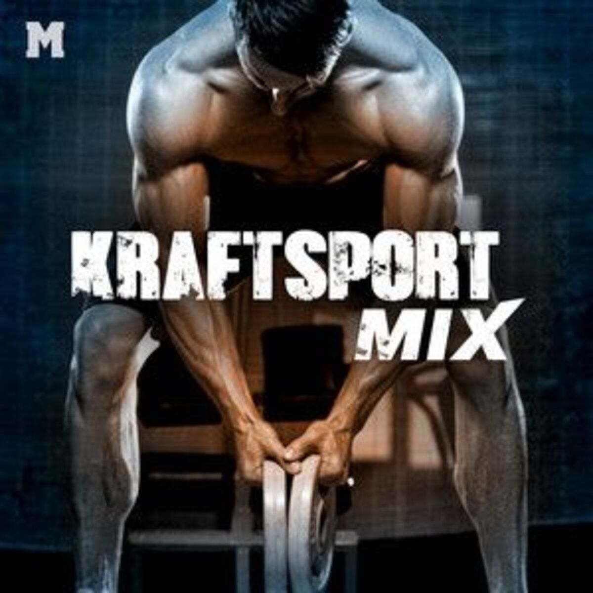 Cover of playlist Kraftsport Mix | Gym Fitness Pump & Workout Motiva