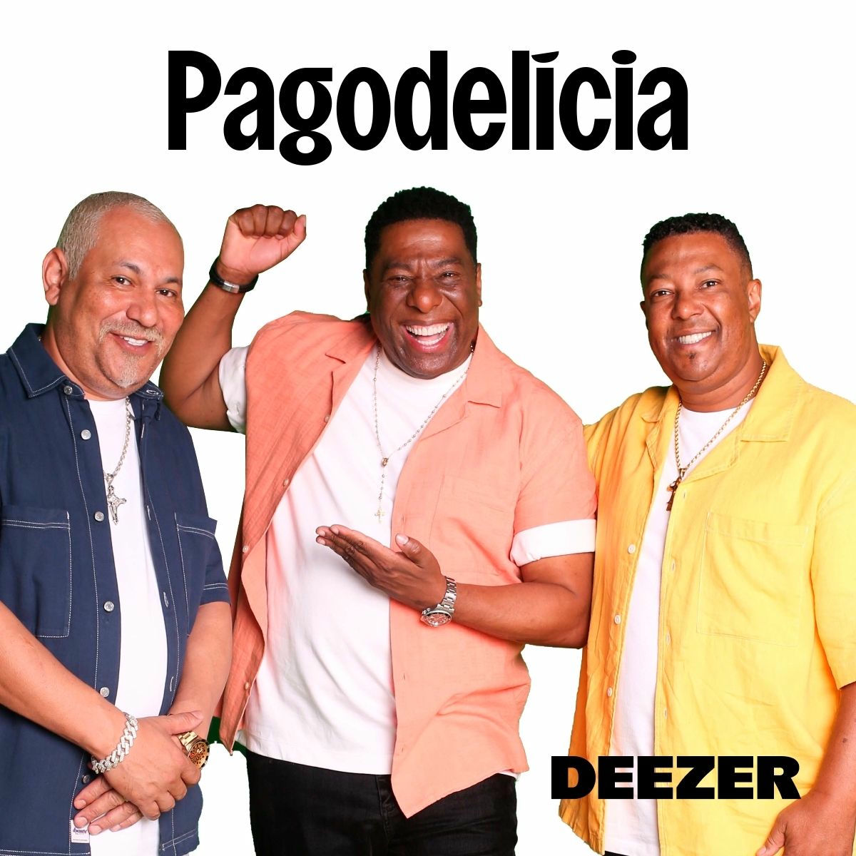 Cover of playlist Pagodelícia
