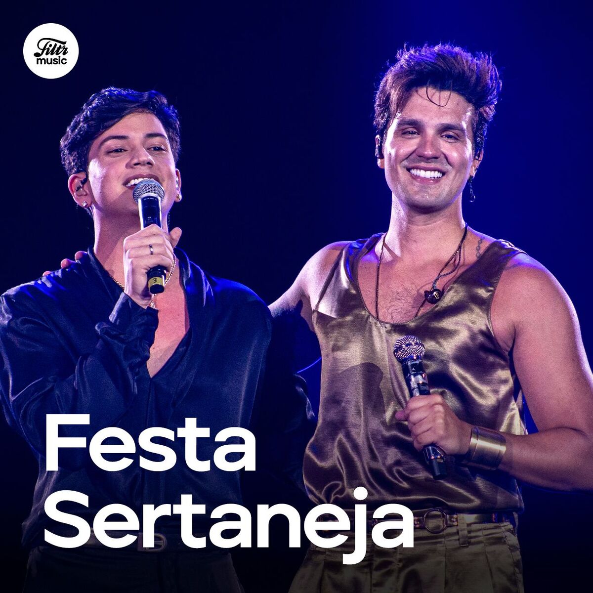 Cover of playlist Festa Sertaneja 2025 🔥