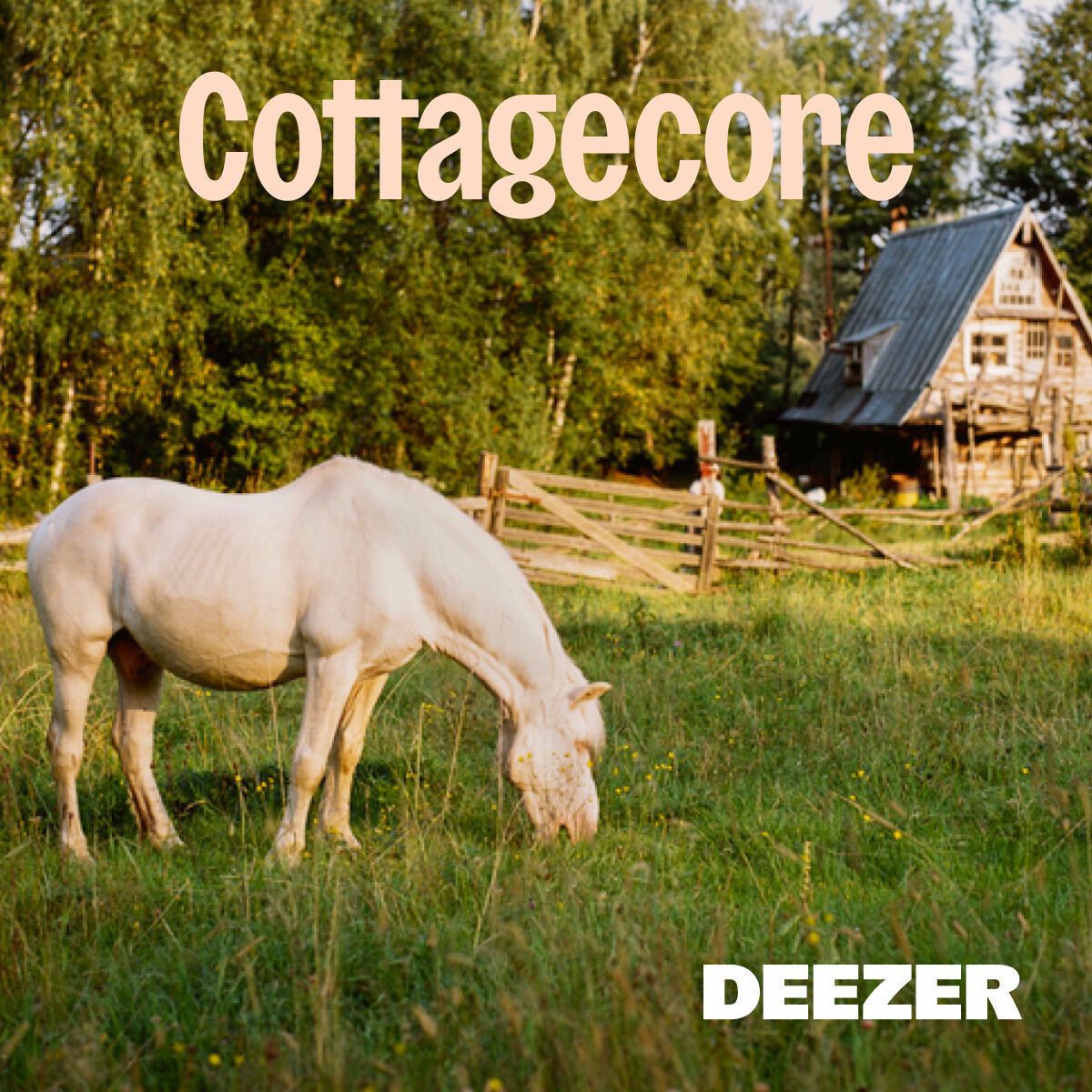cottagecore ✧.*･｡ﾟ