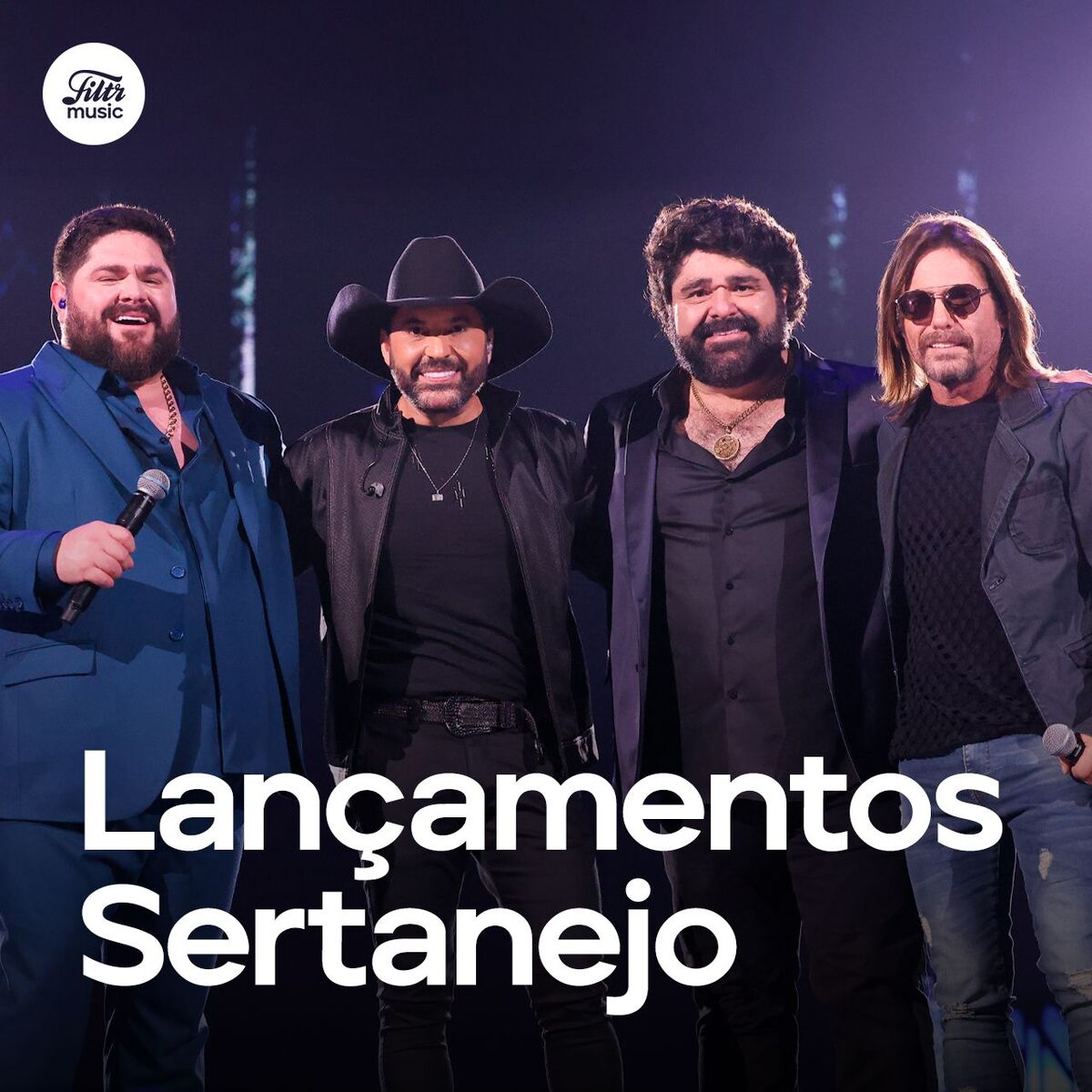 Cover of playlist Lançamentos Sertanejo 2025 🔥 Sertanejo Atualizado