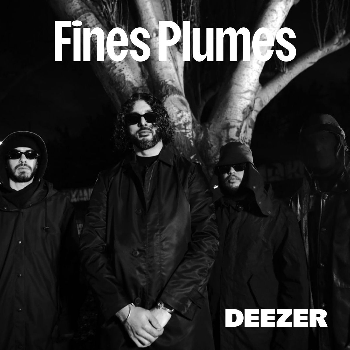 Cover of playlist Fines Plumes