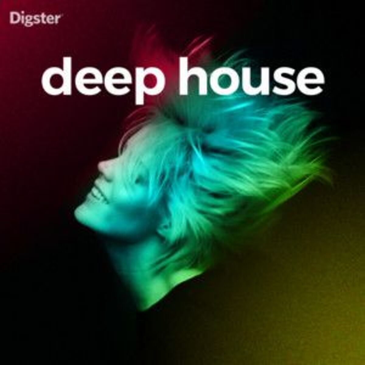 Cover of playlist Deep House 2025