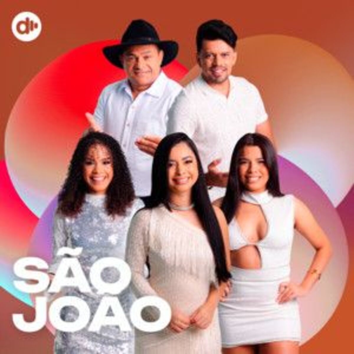 Cover of playlist São João 2025🔥 Festa Junina 🪗 Forró Raiz
