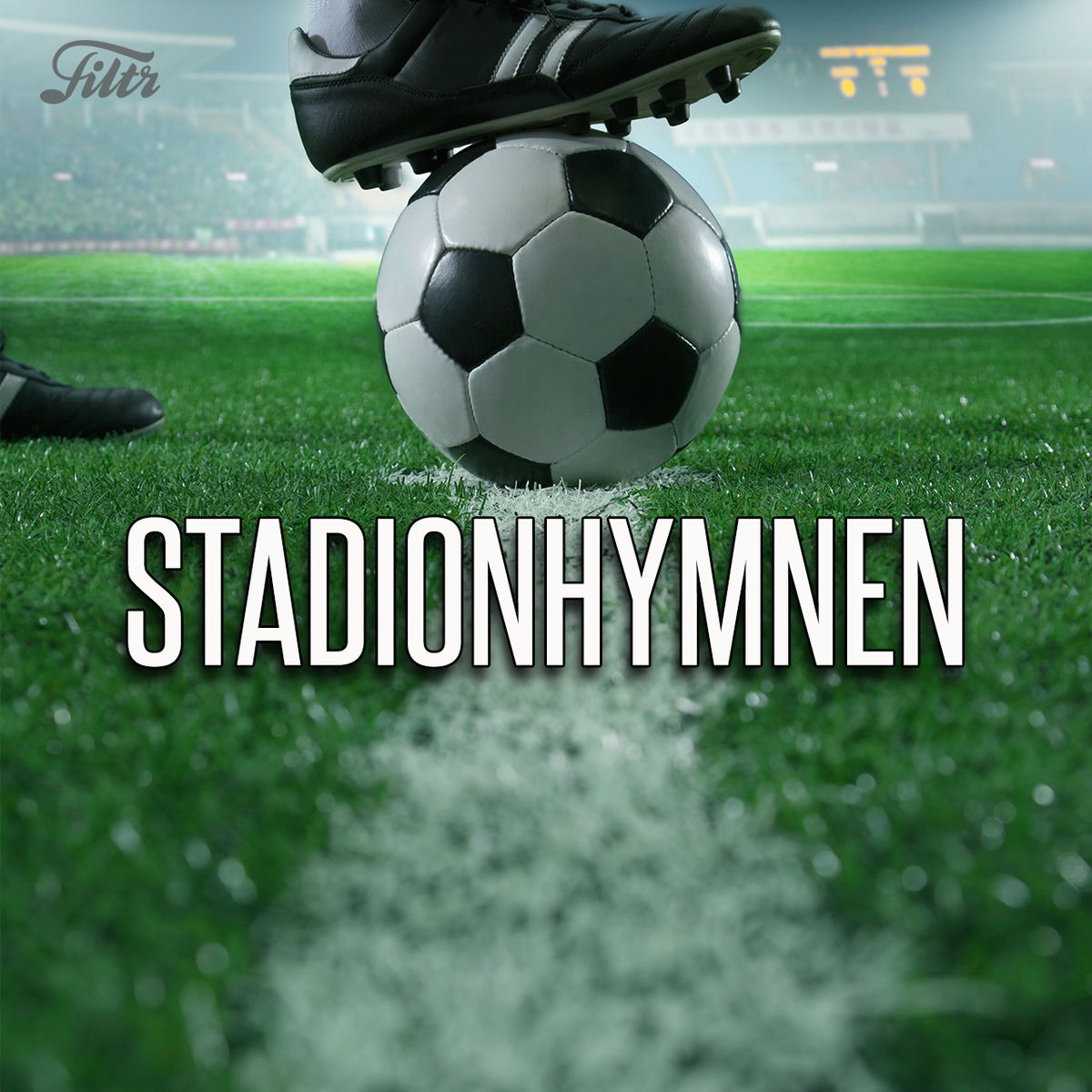 Cover of playlist Stadionhymnen