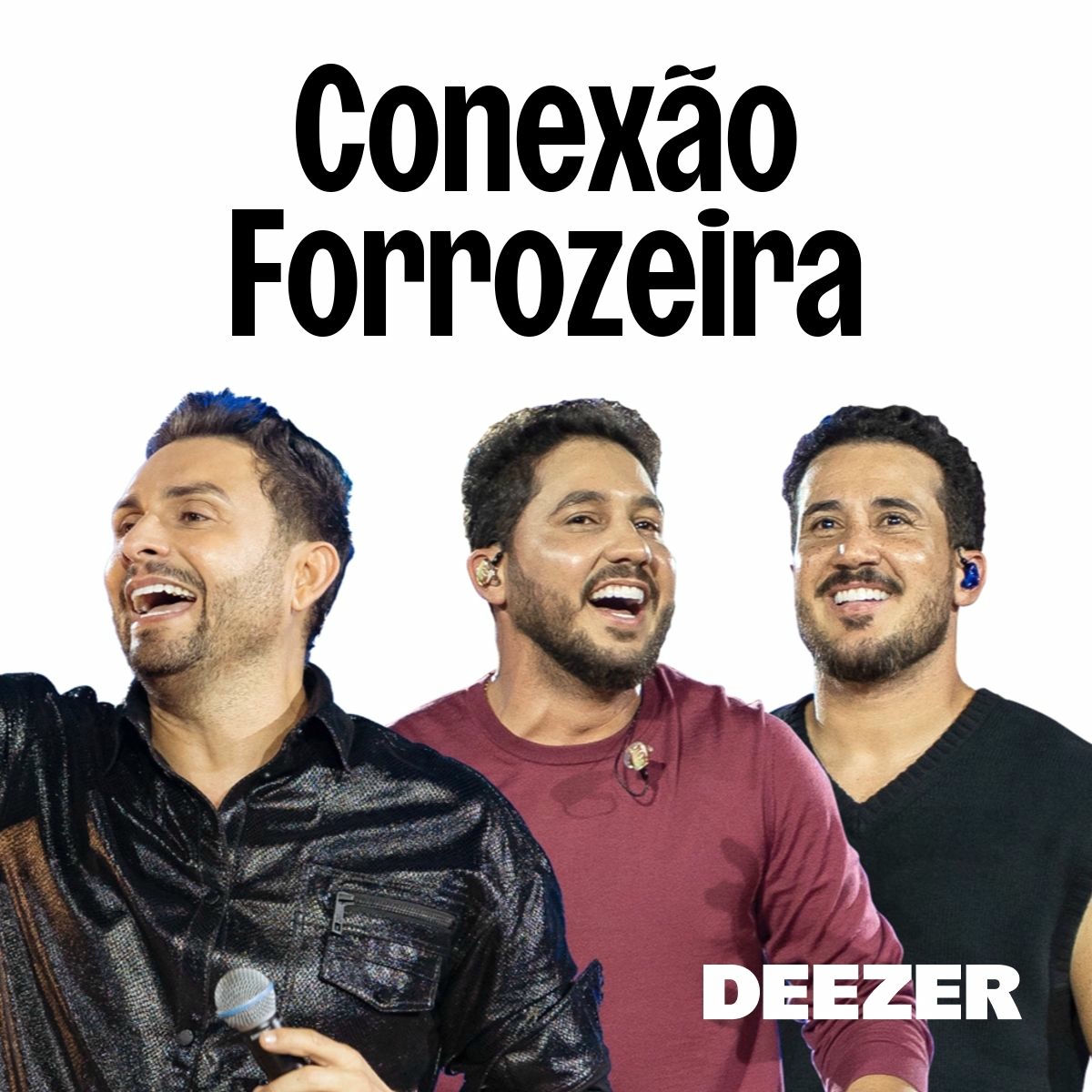 Cover of playlist Conexão Forrozeira