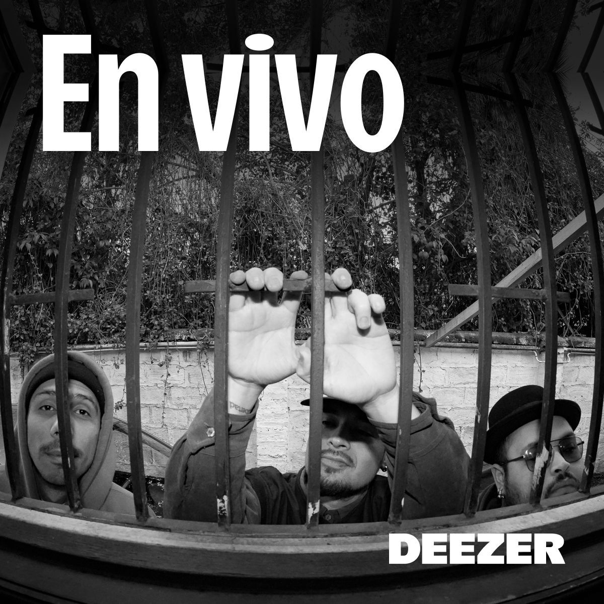 Cover of playlist En vivo